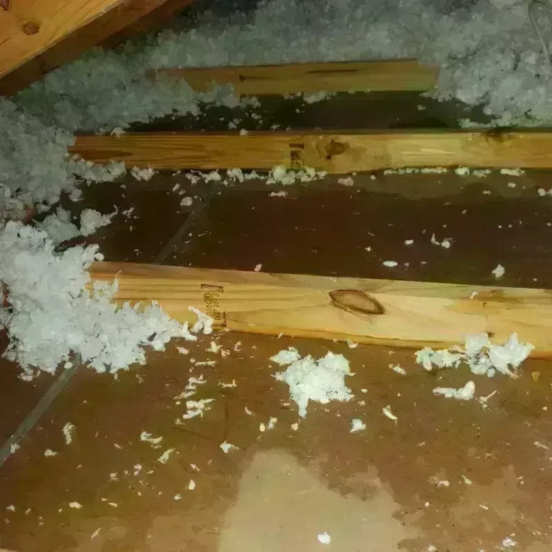 Attic Water Damage in Howland, ME